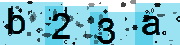 Capcha code