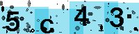 Capcha code