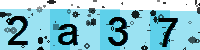 Capcha code