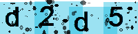 Capcha code