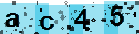 Capcha code