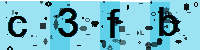 Capcha code