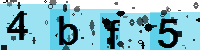 Capcha code