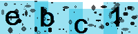 Capcha code