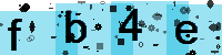 Capcha code