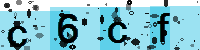 Capcha code
