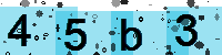 Capcha code