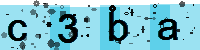 Capcha code