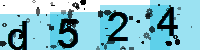 Capcha code
