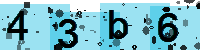 Capcha code