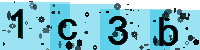 Capcha code