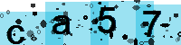 Capcha code