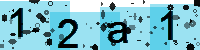 Capcha code