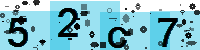 Capcha code