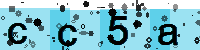 Capcha code
