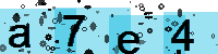 Capcha code