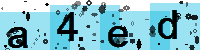 Capcha code