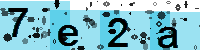 Capcha code
