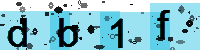 Capcha code