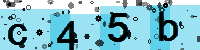 Capcha code