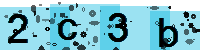 Capcha code
