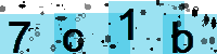 Capcha code