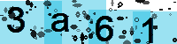 Capcha code
