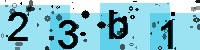 Capcha code