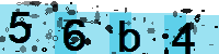 Capcha code