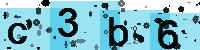 Capcha code