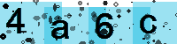 Capcha code