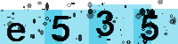 Capcha code