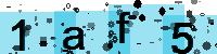 Capcha code