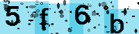 Capcha code