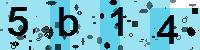 Capcha code