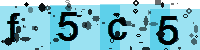 Capcha code