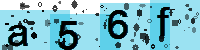 Capcha code
