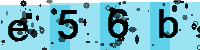 Capcha code