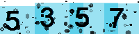 Capcha code
