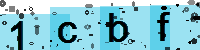 Capcha code