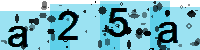 Capcha code