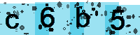 Capcha code