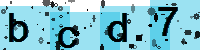 Capcha code