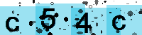 Capcha code