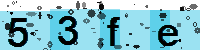 Capcha code
