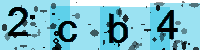 Capcha code