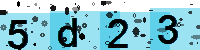 Capcha code