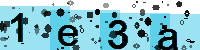 Capcha code