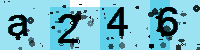 Capcha code