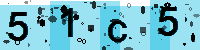 Capcha code
